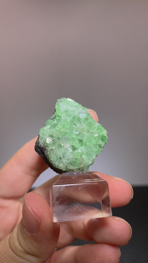 Garnet (var. Tsavorite), Arusha District, Tanzania.