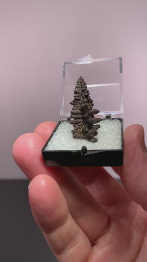 Limonite Pseudomorph, Egypt