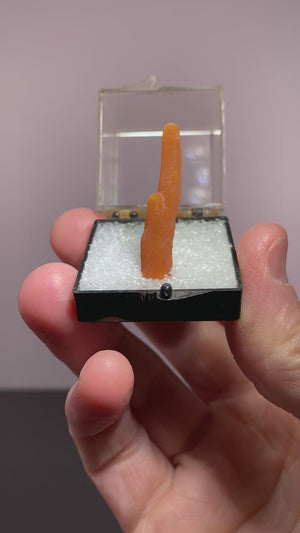 Aragonite Stalactite, Alzada, Montana, USA
