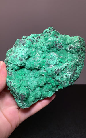 Conichalcite, Durango, Mexico.