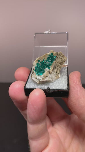 Dioptase, Altyn-Tube, Kazakhstan