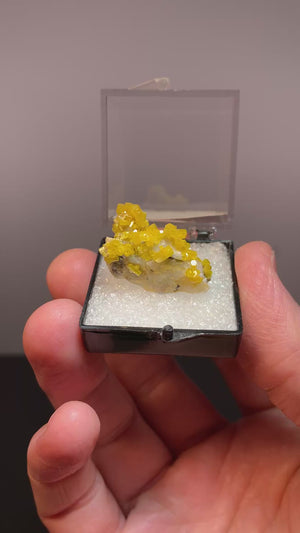 Mimetite, Hat Yai, Thailand