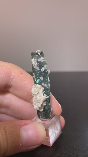 Tourmaline w/ Lepidolite, Cruzeiro Mine, Minas Gerais, Brazil