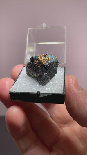 Renierite, Shinkolobwe, DR Congo