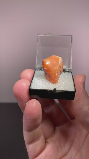 Opal, Jalisco, Mexico