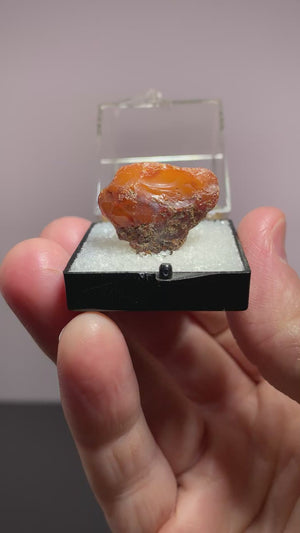 Amber, Emden, Germany