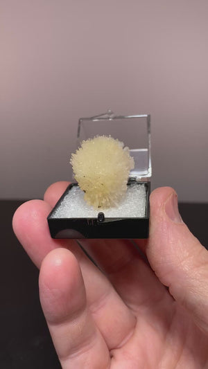 Natrolite, Cape Grim, Australia