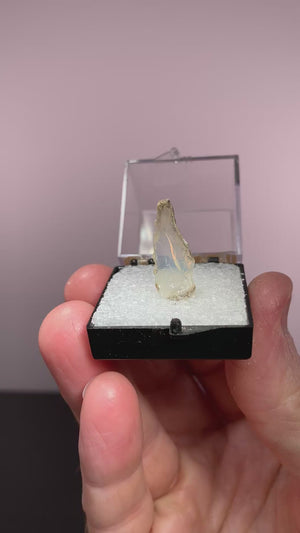 Opal, Slovakia