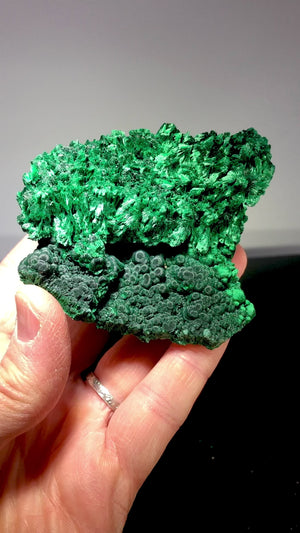 “Velvet” Malachite, DR Congo