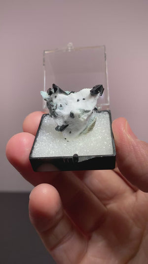 Neptunite on Natrolite, Dallas Gem Mine, California, USA