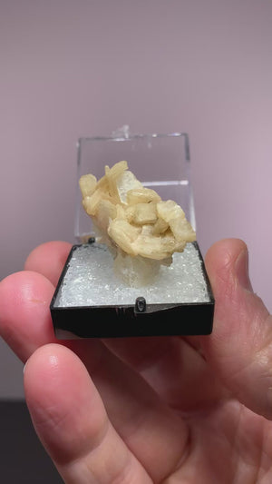 Stilbite, Peterson, New Jersey, USA