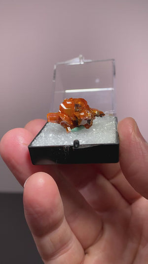 Wulfenite, Red Cloud Mine, Arizona, USA
