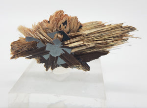 Rutile and Hematite,  Brasil