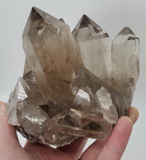 Smoky Quartz Cluster, Brasil