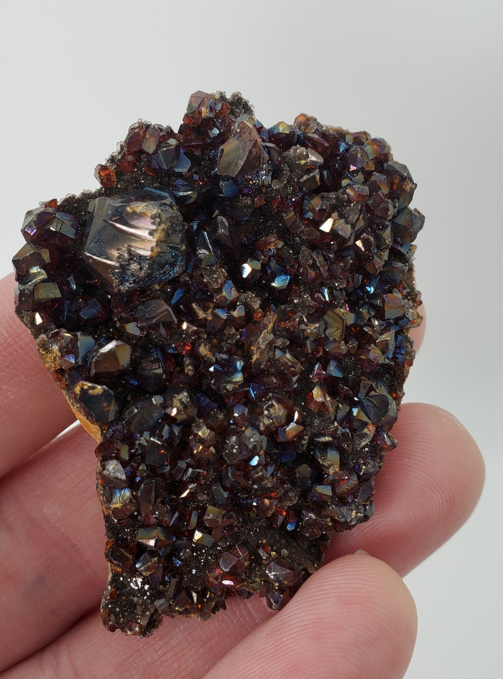 Ruby Jack Sphalerite, Pitcher Oklahoma