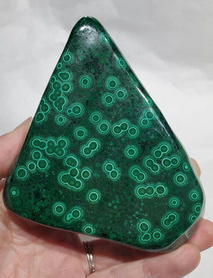 Polished Malachite, Congo