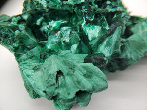 Fibrous Malachite, Congo