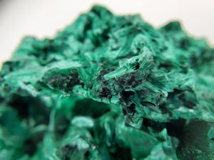 Fibrous Malachite, Congo