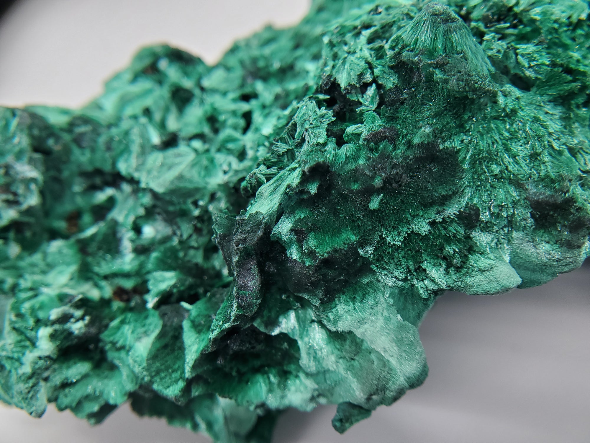 Fibrous Malachite, Congo