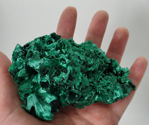 Fibrous Malachite, Congo