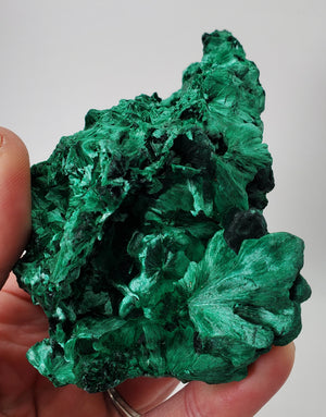 Fibrous Malachite, Congo