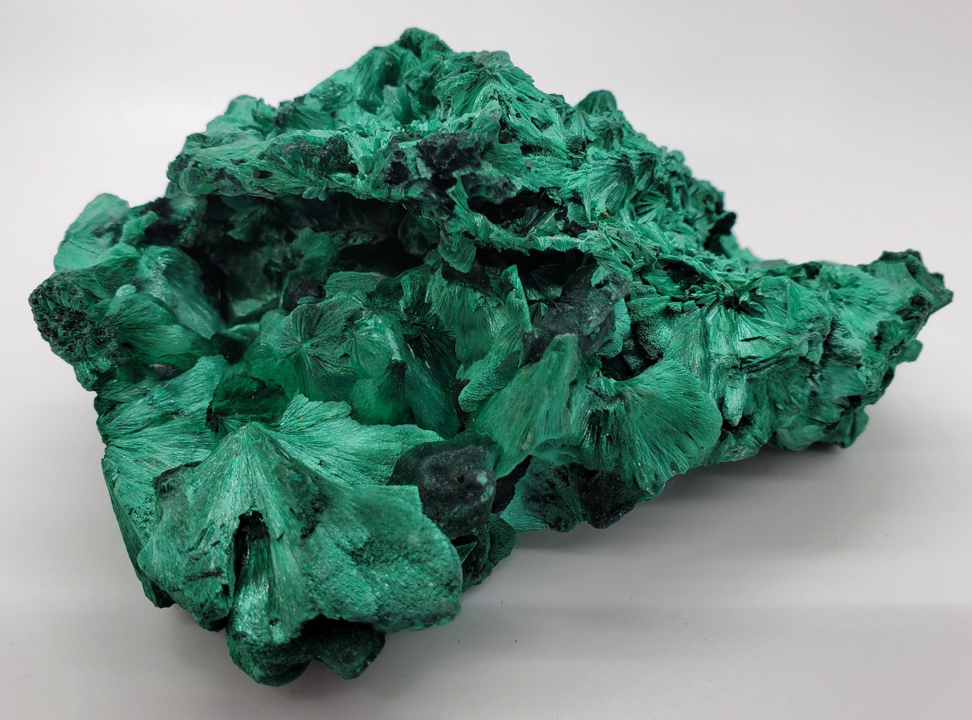 Fibrous Malachite, Congo