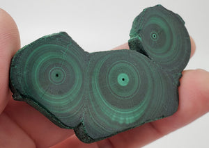 Malachite Stalactite Slice, DRC