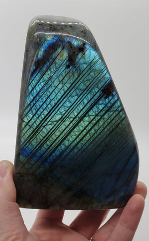 Labradorite Free Form, Madagascar