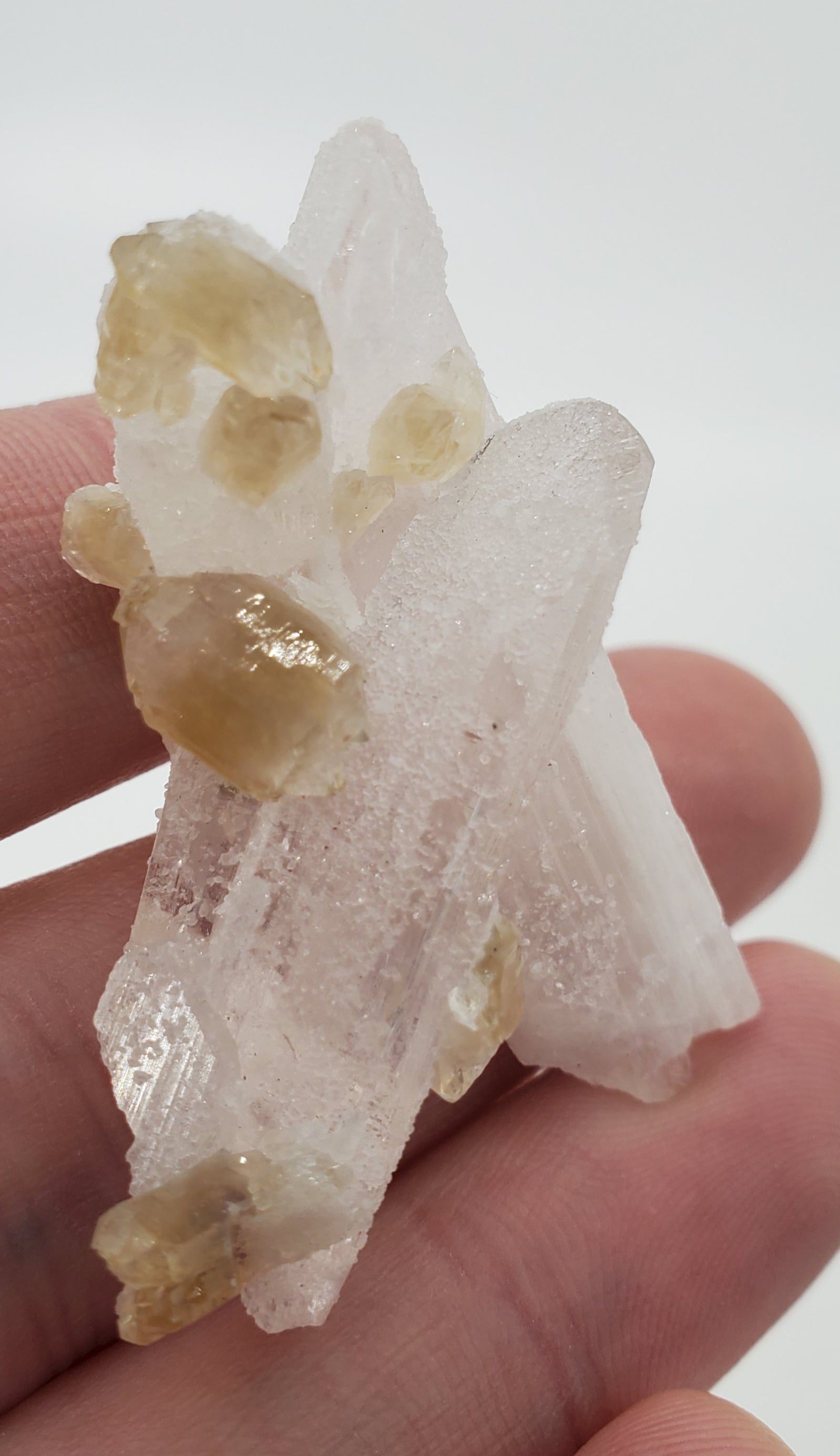 Danburite with Citrine, Mexico