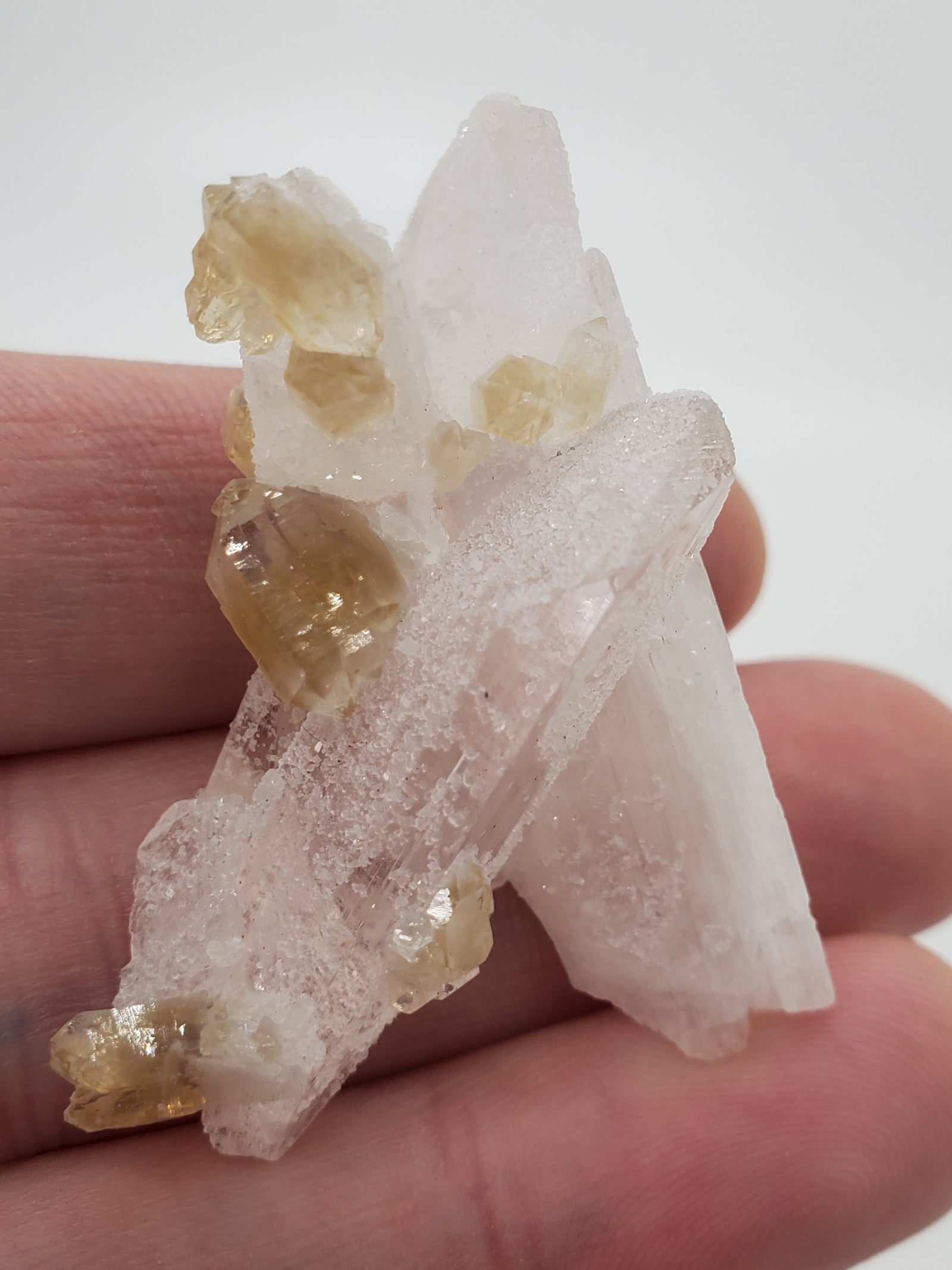Danburite with Citrine, Mexico