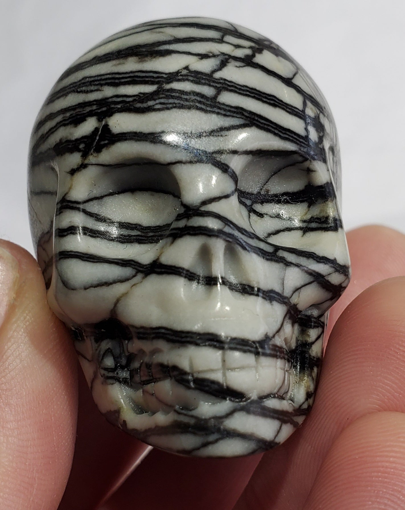 Picasso Jasper Skull