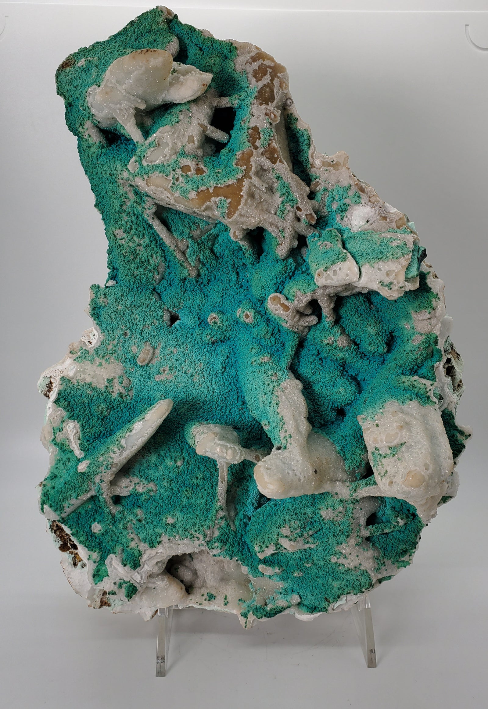 Chrysocolla with Quartz (Congo)