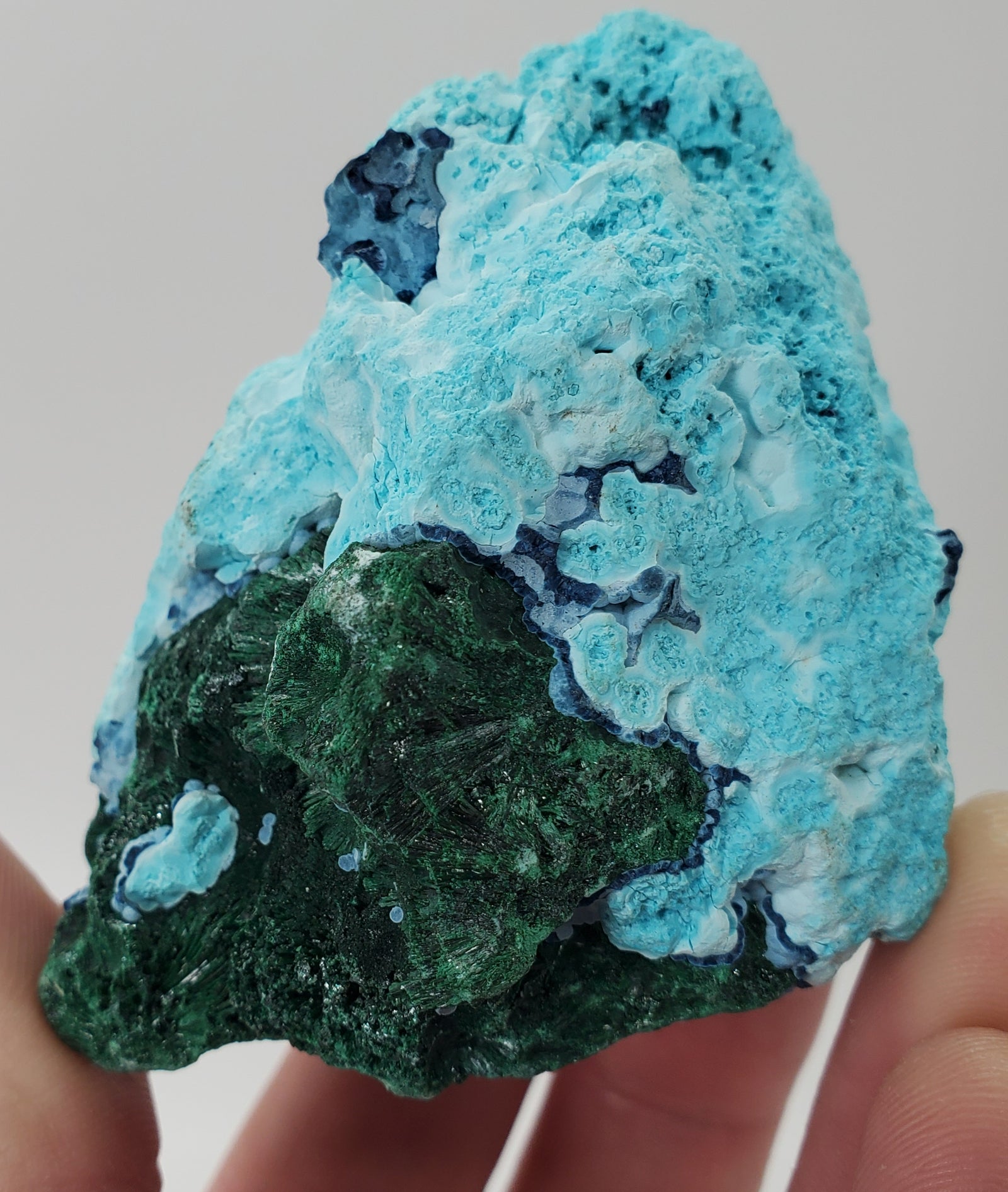 Chrysocolla w/ Malachite and Shattuckite