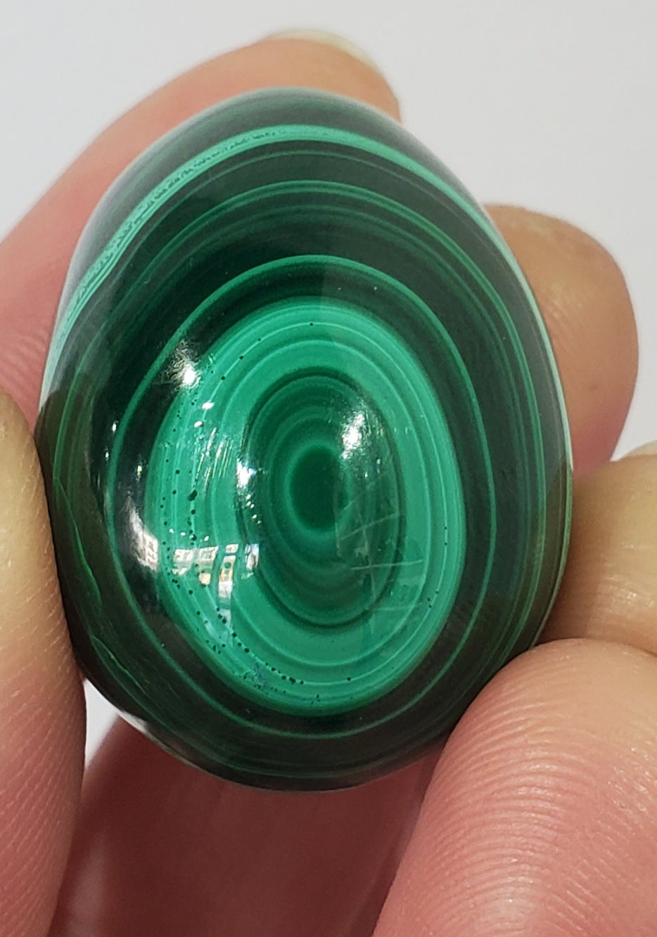Malachite Egg, Congo