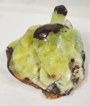 Prehnite Turtle Carving, Australia