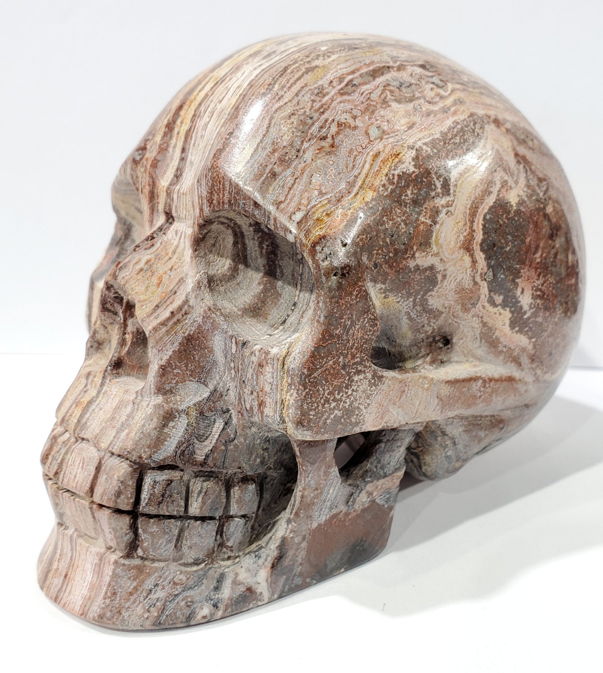 Santa Sophia Ryolite Skull