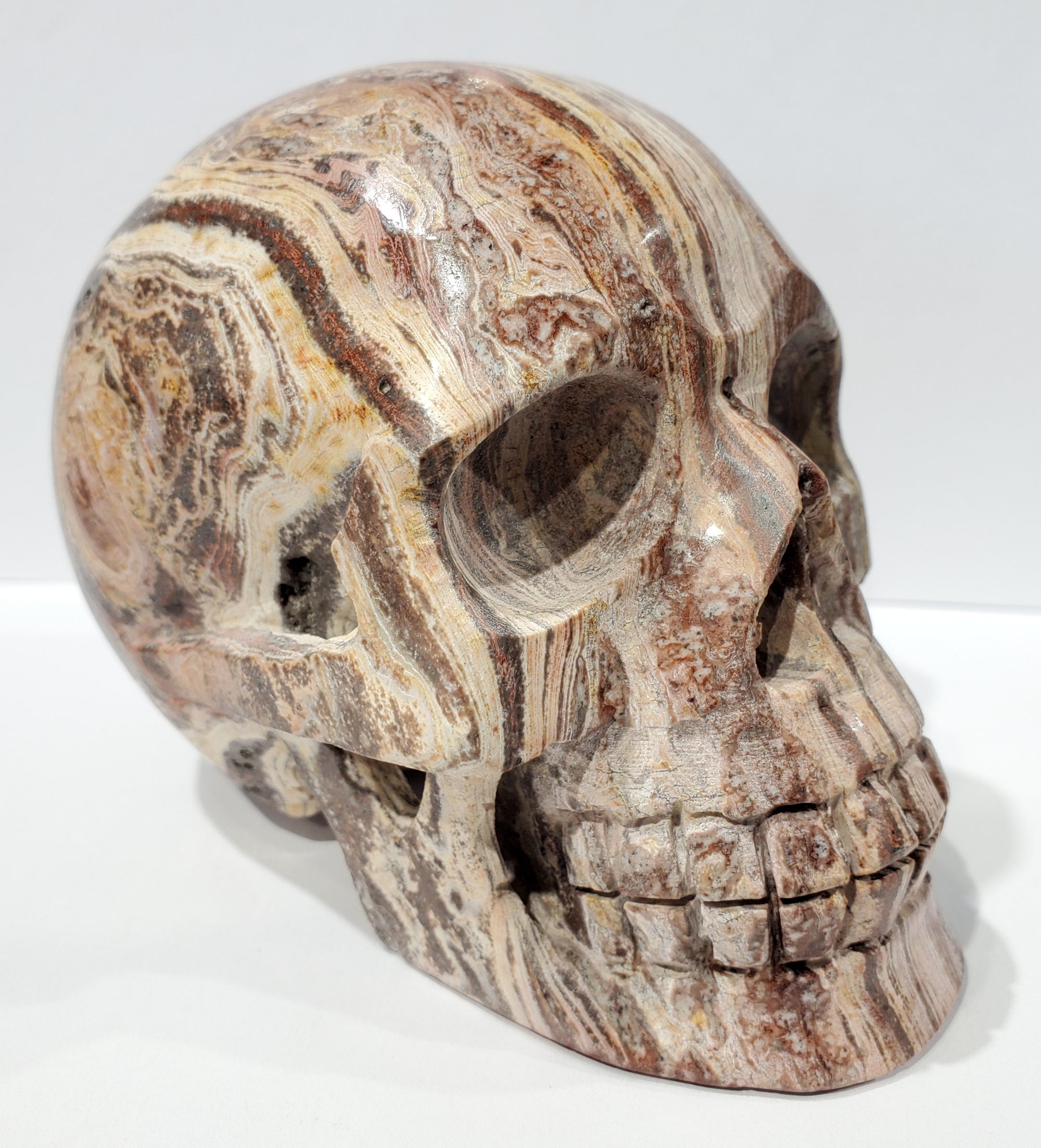 Santa Sophia Ryolite Skull