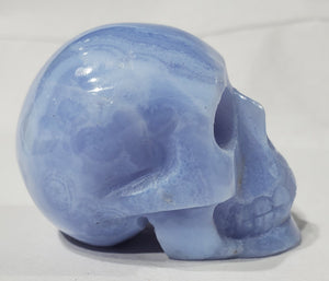 Blue Lace Agate Skull, Indonesia