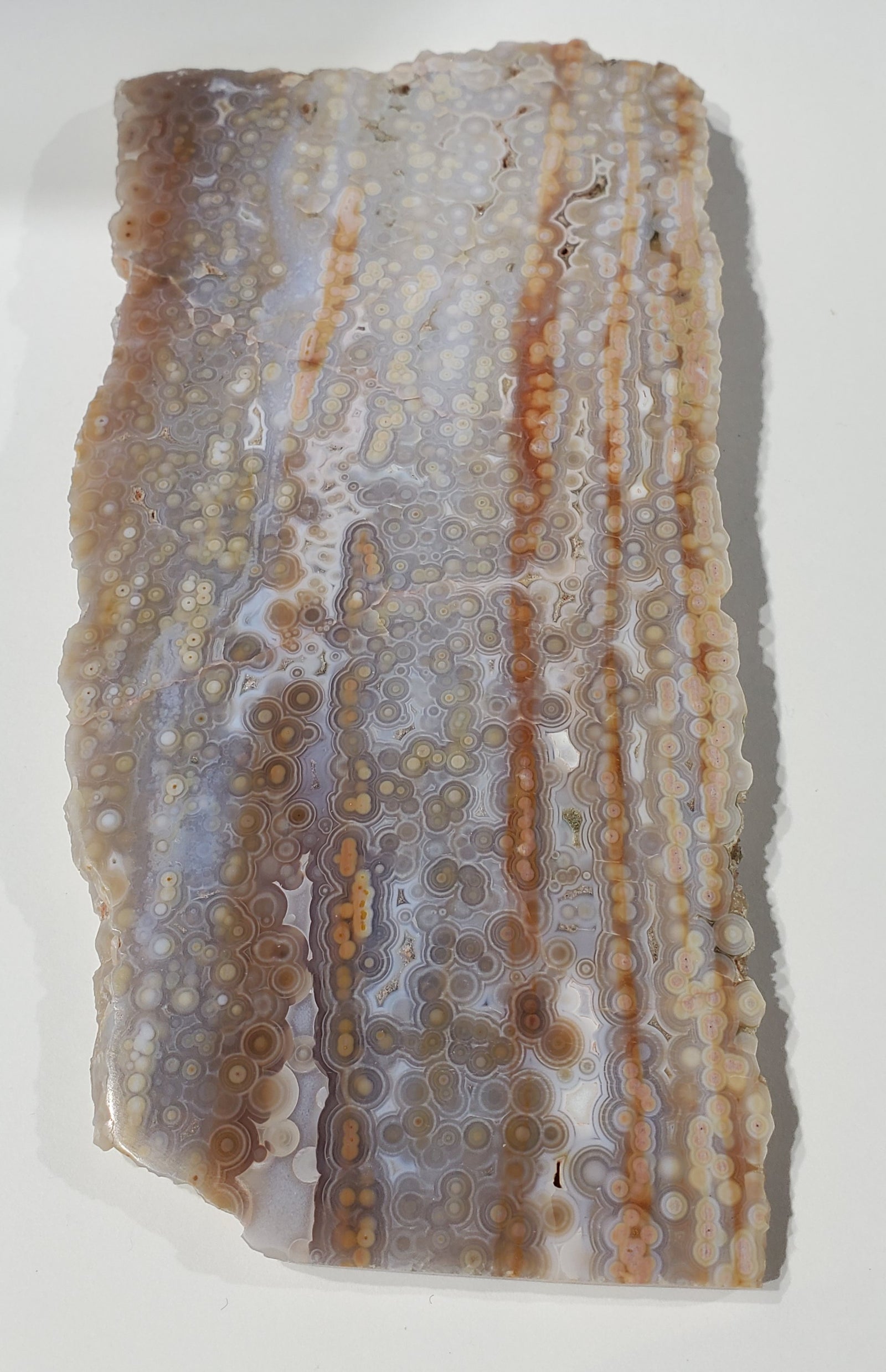 Ocean Jasper Slab, Madagascar