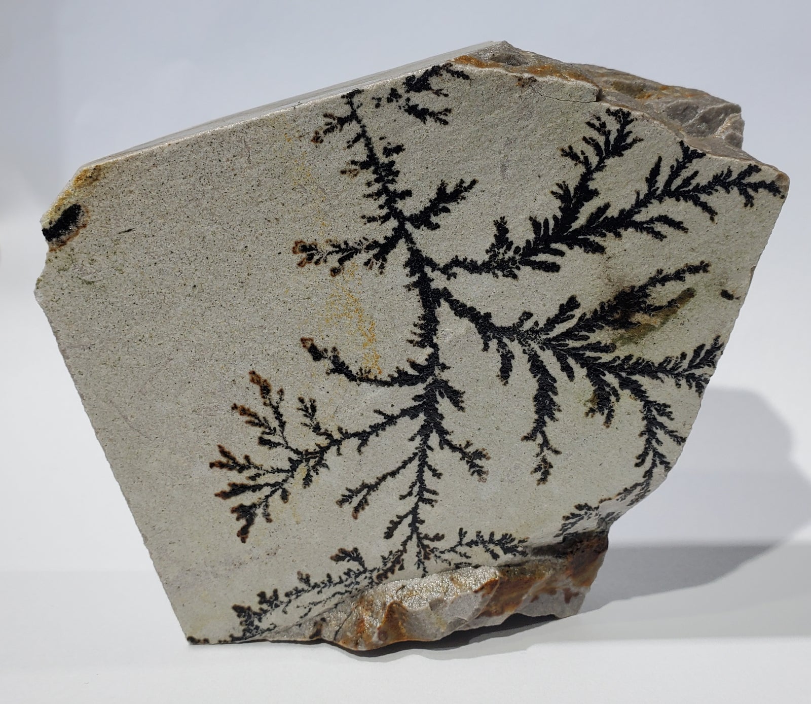 Dendrite (Utah)