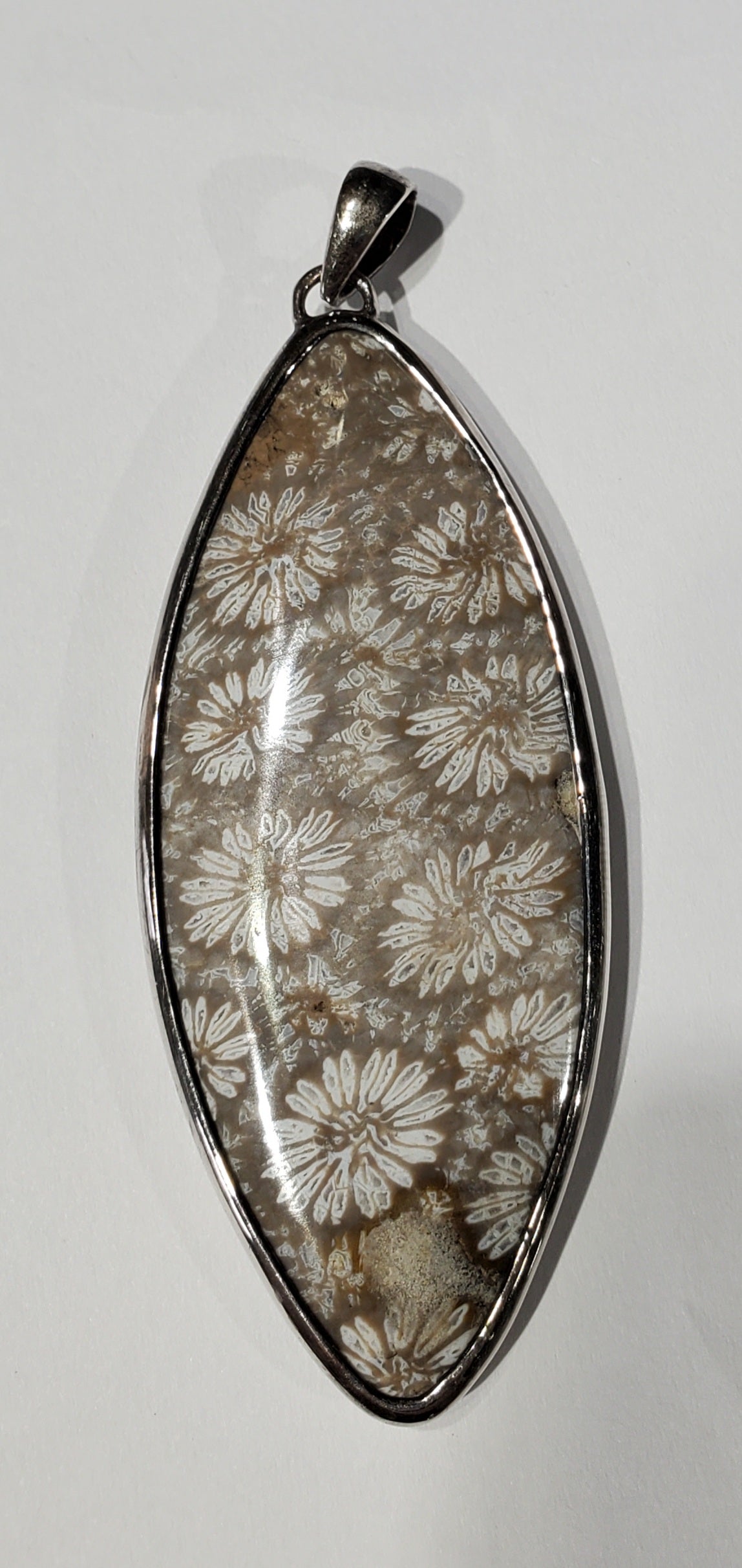 Fossilized Coral Pendant