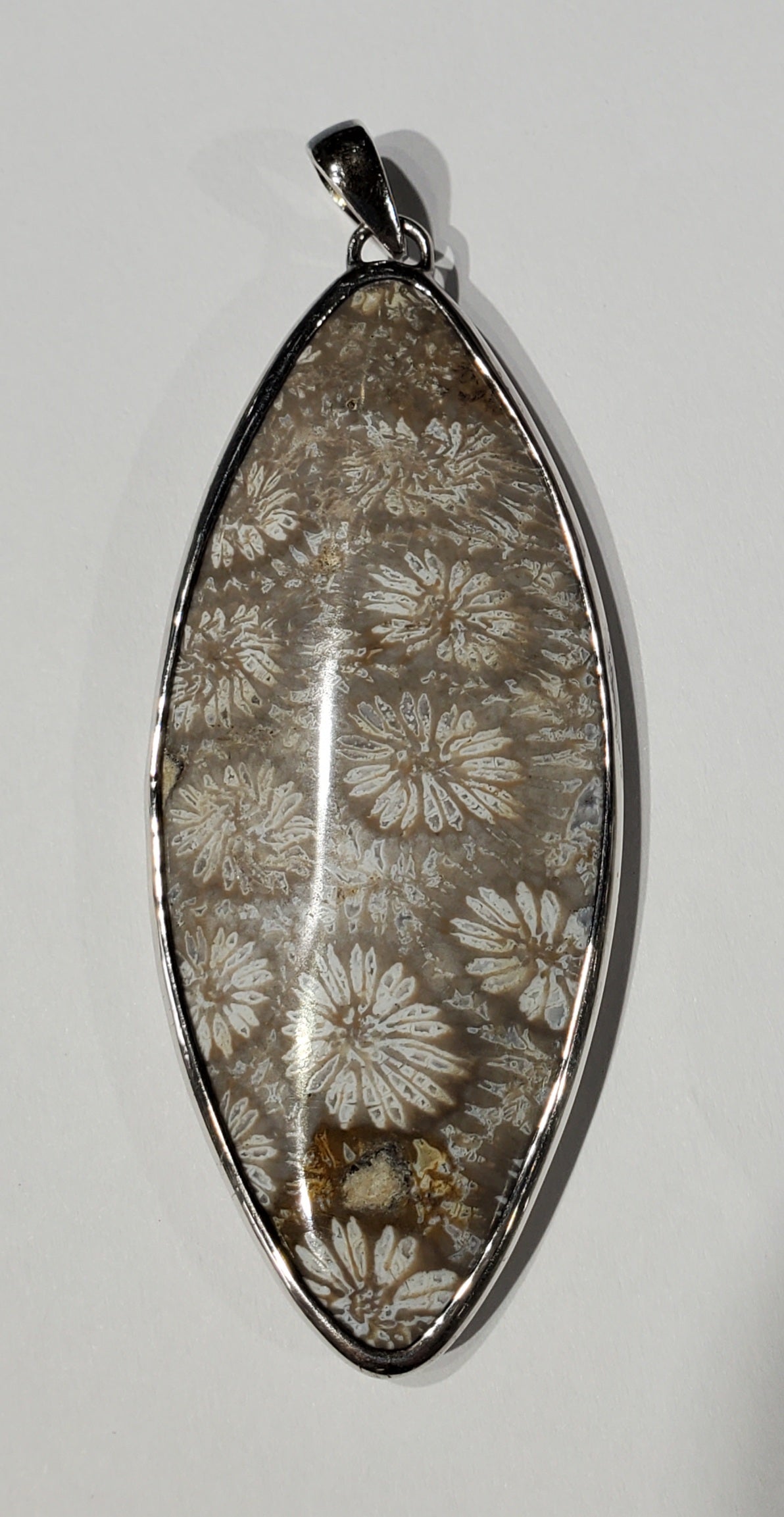 Fossilized Coral Pendant