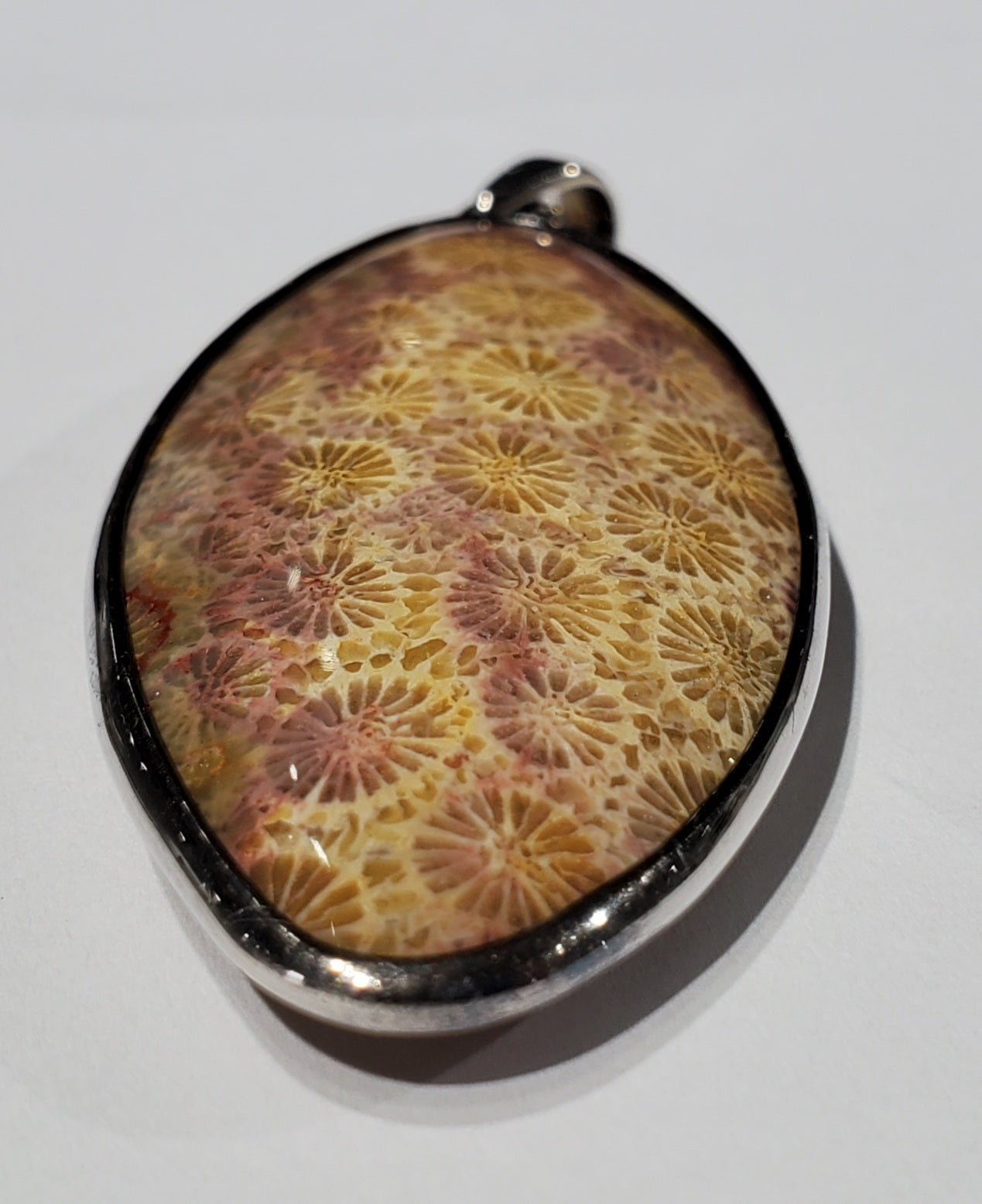 Fossilized Coral Pendant