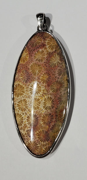 Fossilized Coral Pendant