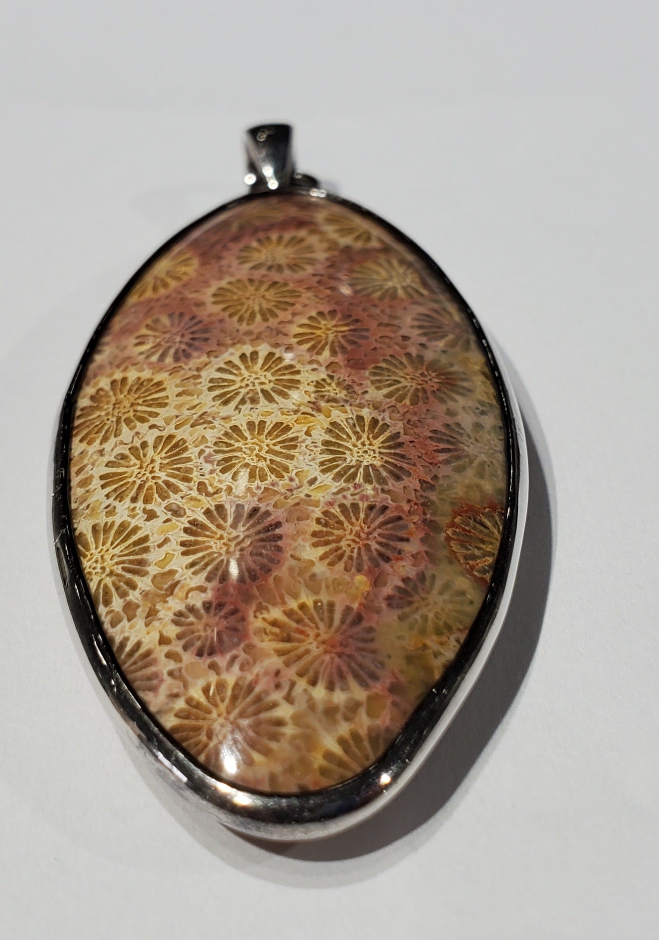 Fossilized Coral Pendant