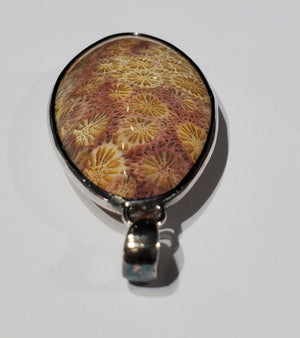 Fossilized Coral Pendant