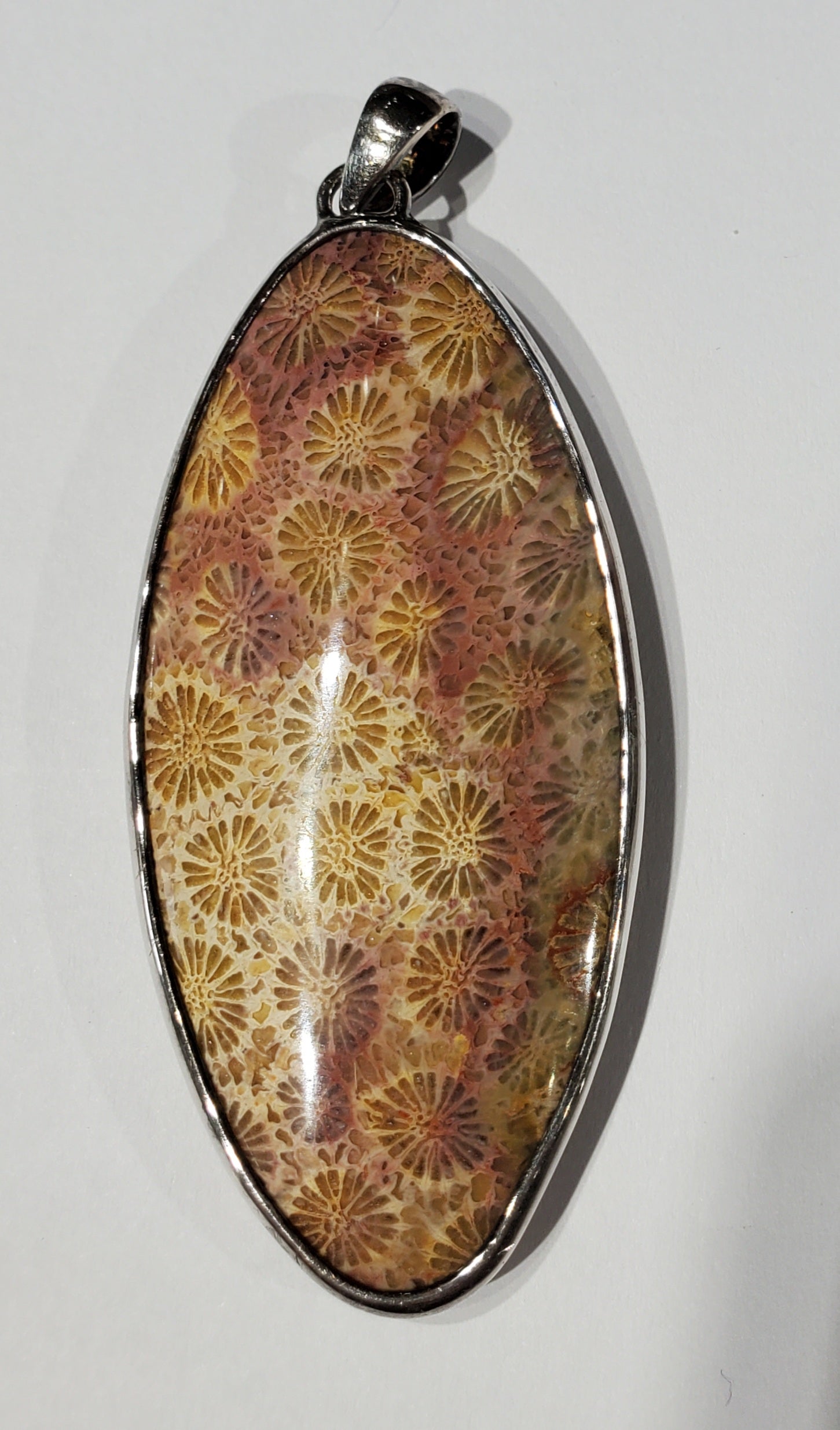 Fossilized Coral Pendant