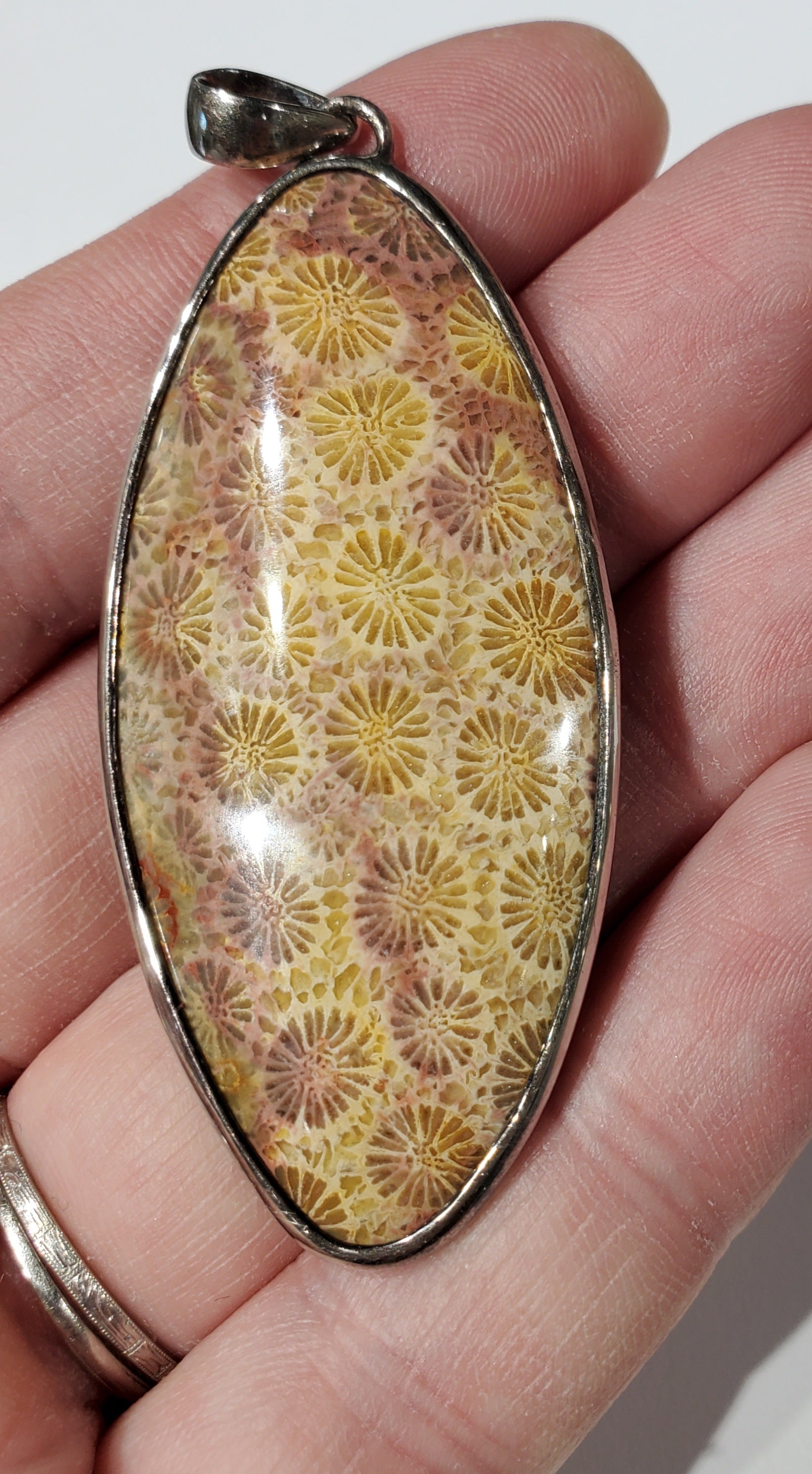 Fossilized Coral Pendant