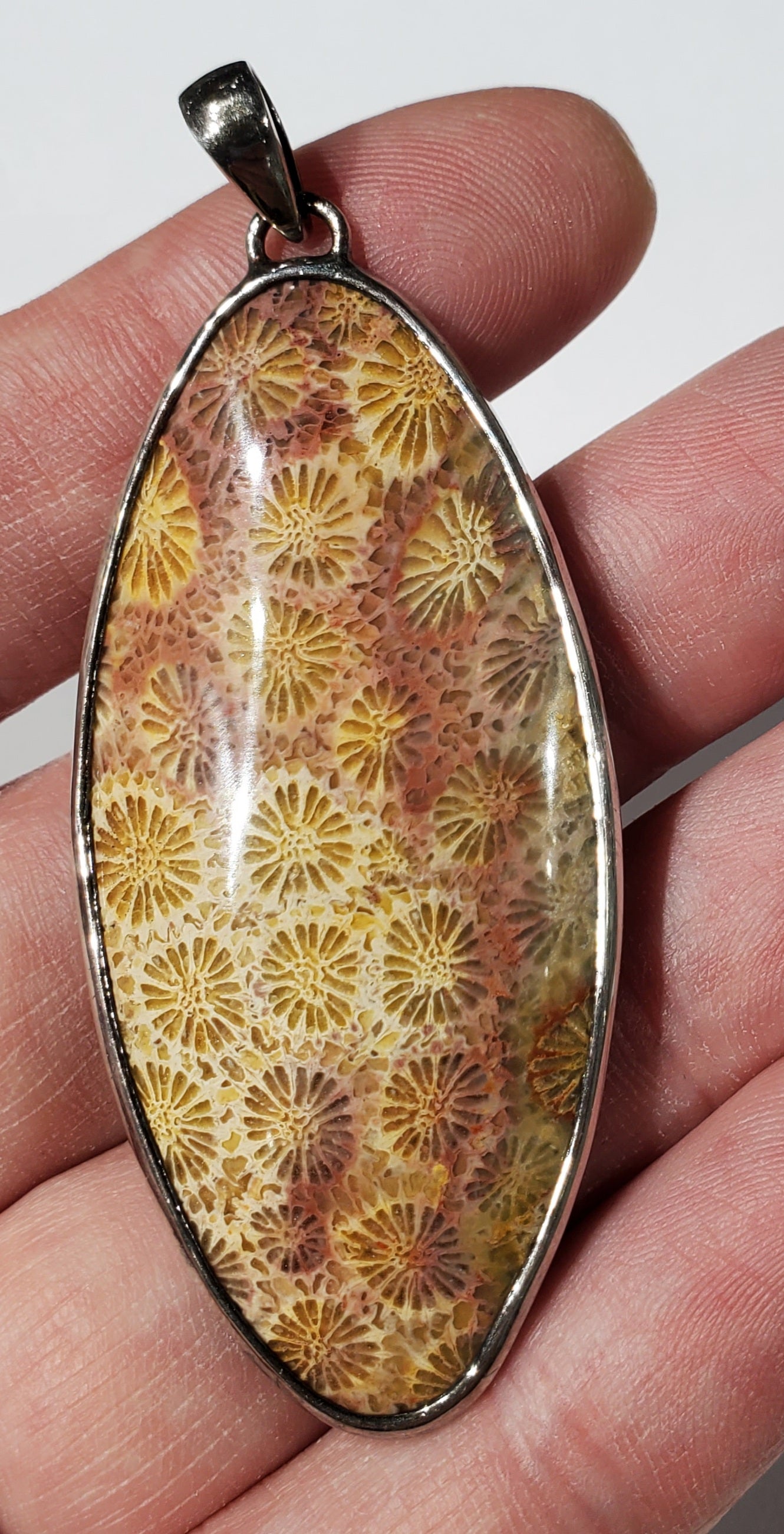 Fossilized Coral Pendant