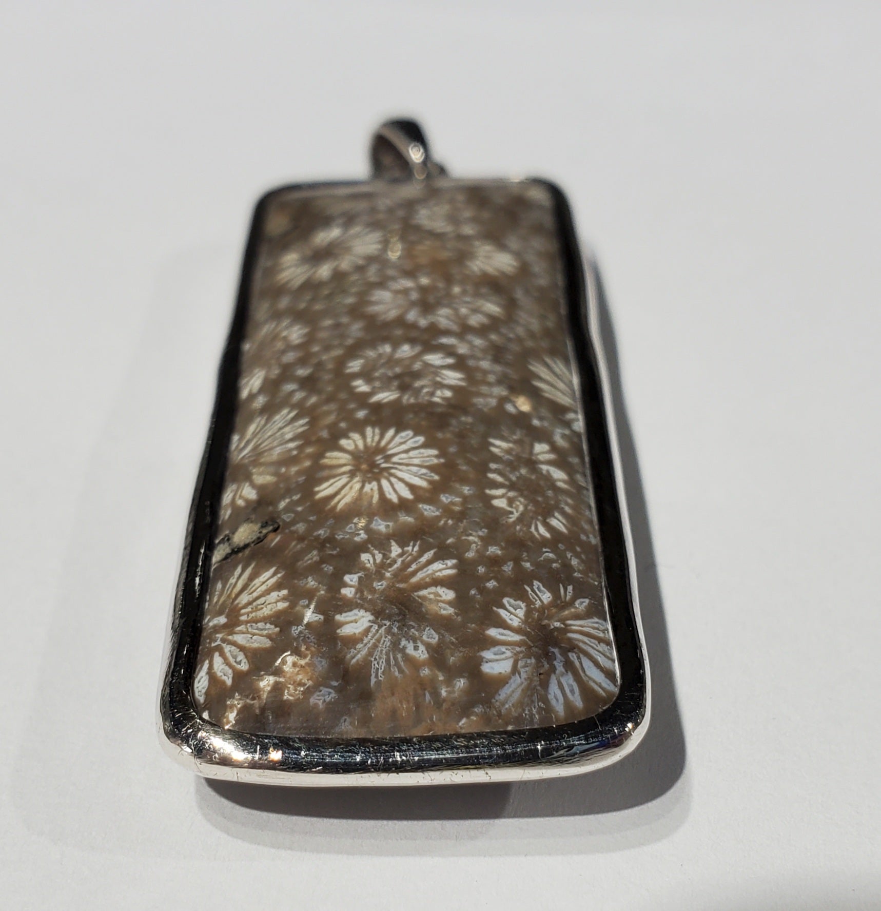 Fossilized Coral Pendant